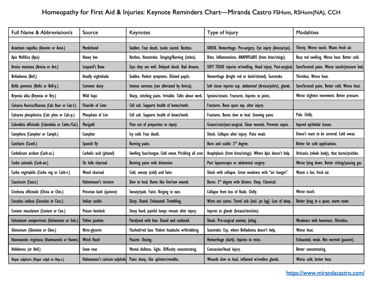 Miranda Castro First Aid Chart - Advanced preview