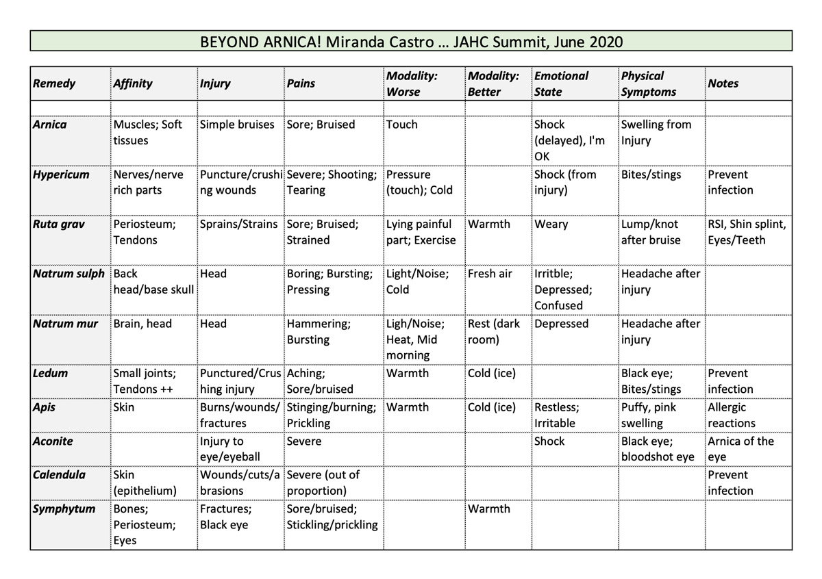 Miranda Castro First Aid Chart - preview