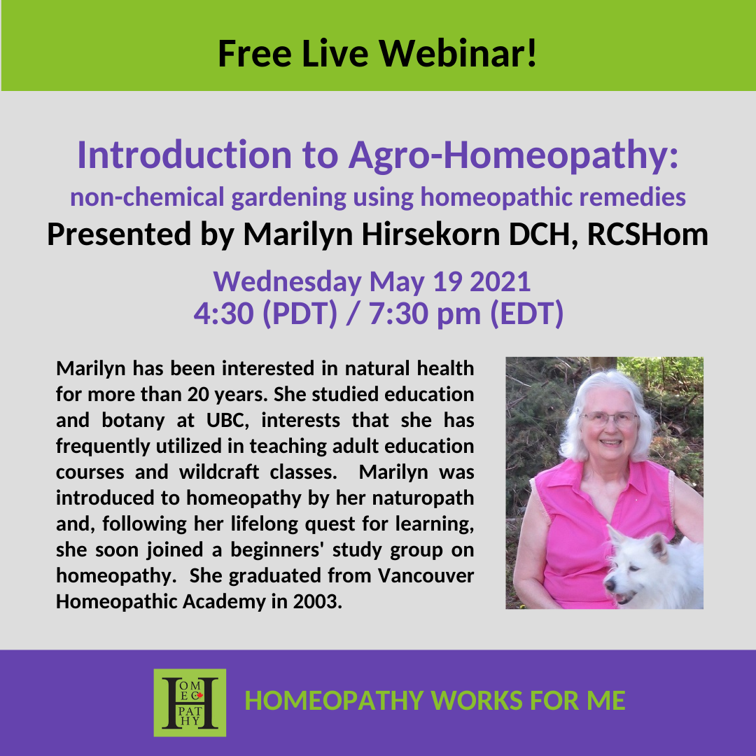 May 19 2021 Webinar Instagram Post