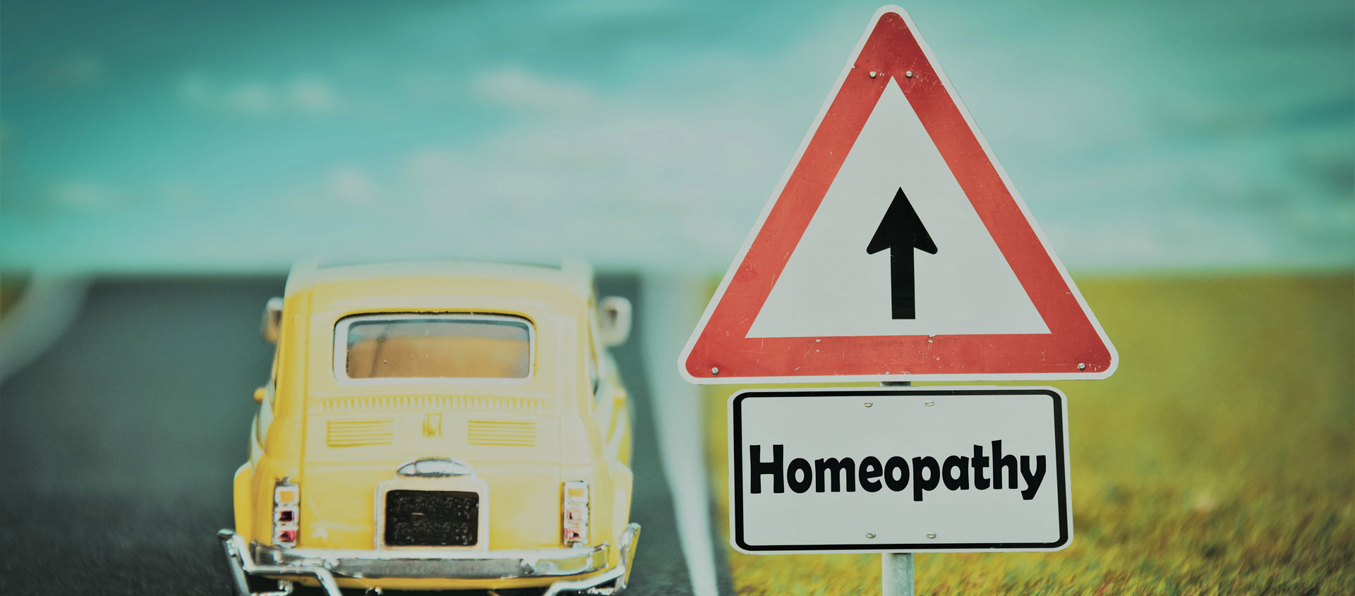 Road to Homeopathy